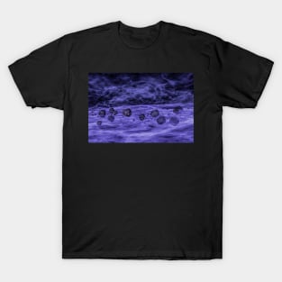 Asteroids in space nebula T-Shirt